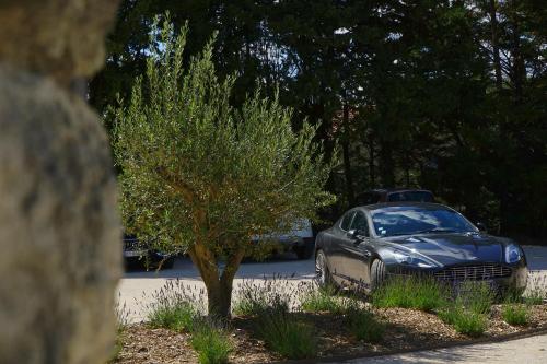 a car parked next to a tree on a street at Logis Hotel Le Blason de Provence in Monteux