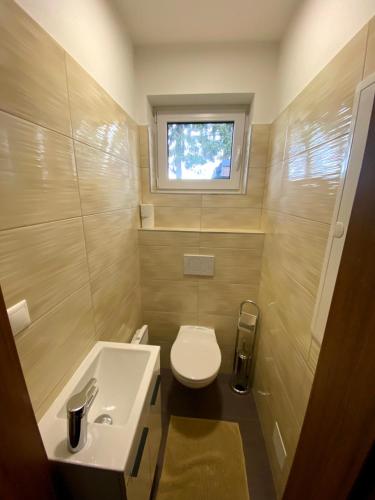 a bathroom with a toilet and a sink and a window at Vila Hanka in Lipno nad Vltavou