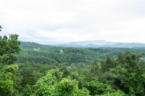 Tennessee Lodge photo 28