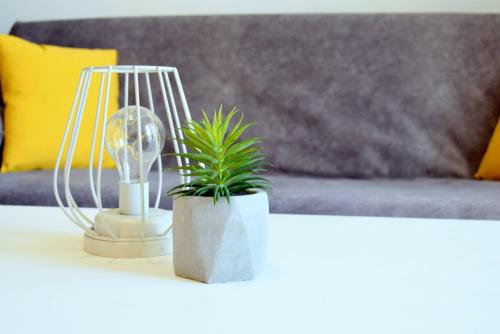 a plant in a pot next to a lamp on a table at Rab City Apartment Greeny in Rab