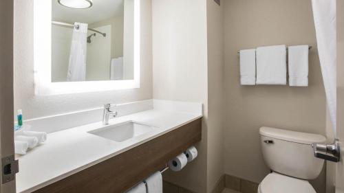 a bathroom with a sink and a toilet and a mirror at Holiday Inn Express & Suites - Jacksonville W - I295 and I10 by IHG in Jacksonville