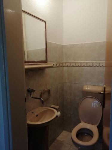 a bathroom with a toilet and a sink and a mirror at Apartmants Mazoljice in Mostar