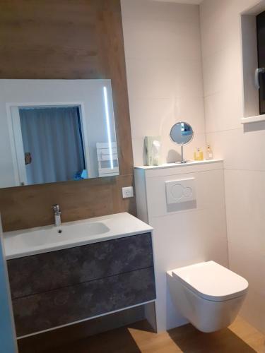 W łazience znajduje się toaleta, umywalka i lustro. w obiekcie Le Jardin des Pies w mieście Manspach