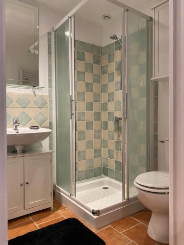 a bathroom with a shower and a toilet and a sink at gite " ploum" in Pouydesseaux