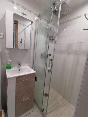 une salle de bain avec douche et lavabo dans l'établissement Nice - Charming little house with terrace, à Nice