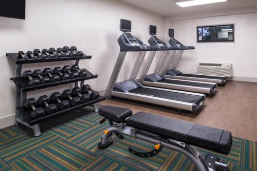a gym with rows of treadmills and weights at Holiday Inn Express Walnut Creek by IHG in Walnut Creek