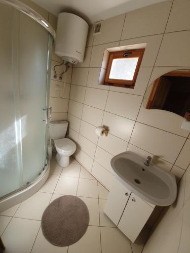 La salle de bains est pourvue d'un lavabo, de toilettes et d'une douche. dans l'établissement Anna i Halina, à Sztutowo