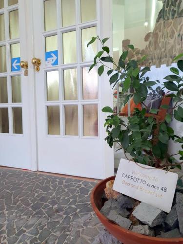 a potted plant in a pot next to a door at B&B Cappotto civico 48 in Pompei
