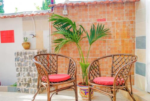 two chairs with red cushions sitting next to a plant at B&B Cappotto civico 48 in Pompei