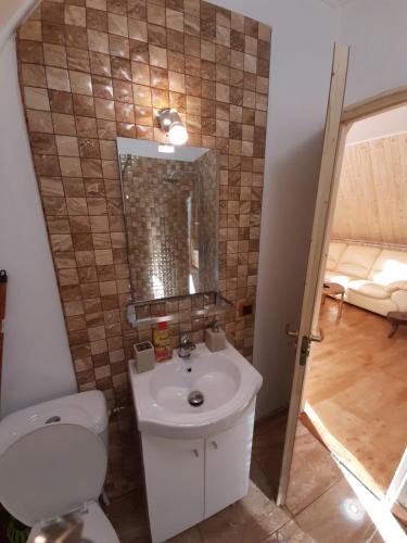 a bathroom with a white sink and a toilet at Cabana din livada cu ciubar in Pucioasa