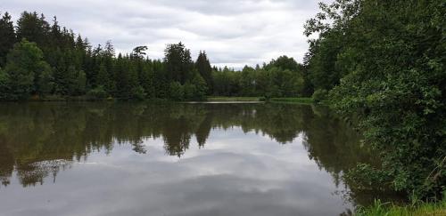 a large lake with trees in the background at Chalupa Kadov in Sněžné