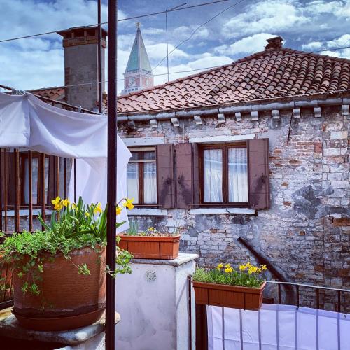 a house with potted plants on a balcony at ROOFTOP TERRACE Domus dei fabbri in Venice