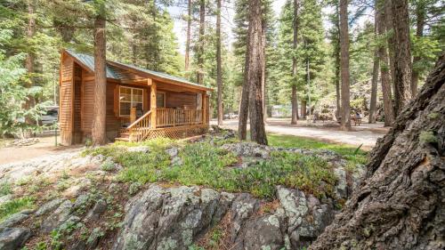 The Iris Cabin #1 – Photos 2