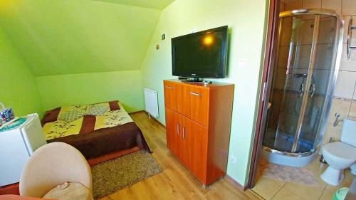 Kleines Zimmer mit einem TV und einem Bad. in der Unterkunft Pensjonat Koral in Darłówko