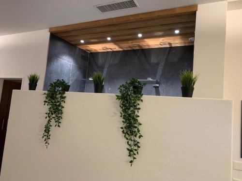 a wall with potted plants on top of it at Therme 51° Hotel Physio & Spa in Leukerbad