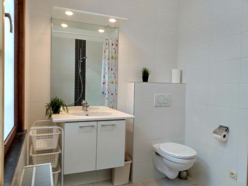 uma casa de banho com um WC, um lavatório e um espelho. em Pilgrim's Loft em Ypres
