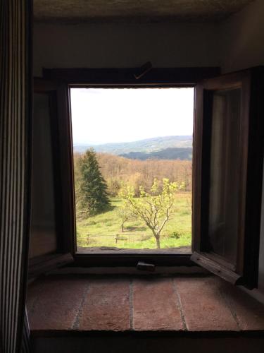 a window with a view of a tree in a field at Casina Della Burraia in Subbiano