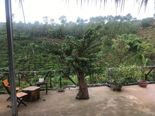 Gallery image of OVi coffee farmstay Đà Lạt in Da Lat