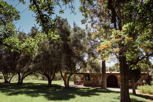 Zahrada ubytování Rancho Toros Pintos