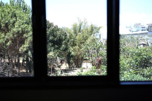 a view of a garden from a window at Anh Trang Homestay in Da Lat