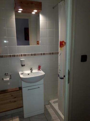 ein Bad mit einem Waschbecken, einem Spiegel und einer Dusche in der Unterkunft Pension Saint Antoine in Briançon