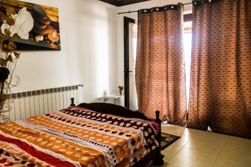- une chambre avec un lit et une fenêtre avec des rideaux dans l'établissement Vila Rico, à Tulcea