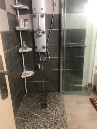 La salle de bains est pourvue d'une douche et d'étagères murales. dans l'établissement Cœur de sousto, à Six-Fours-les-Plages