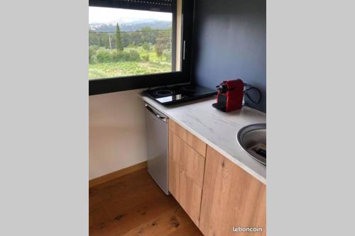 eine Küche mit einem Herd, einem Waschbecken und einem Fenster in der Unterkunft Studio dans les vignes de cassis in Cassis