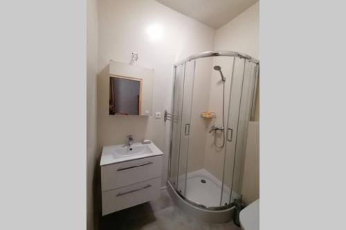 a bathroom with a shower and a toilet and a sink at Apartament Śnieżka in Miedzygorze