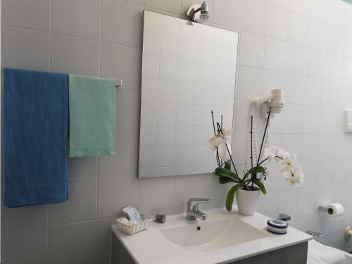 a bathroom with a sink with a mirror and a vase with flowers at B&B Residence Eco Del Mare in Palinuro