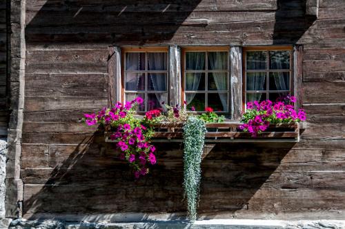 Zahrada ubytování Gasthaus Edelweiss