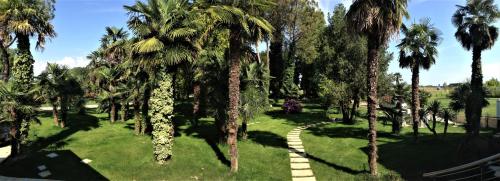 Κήπος έξω από το AgriturismoB&B Loggia Degli Artisti