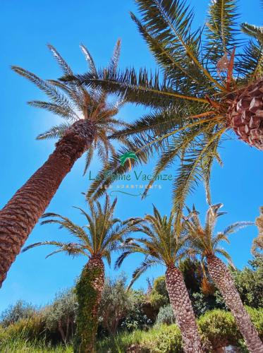 Κήπος έξω από το Le Palme Vacanze
