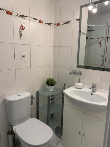 Kúpeľňa v ubytovaní Apartament Halina
