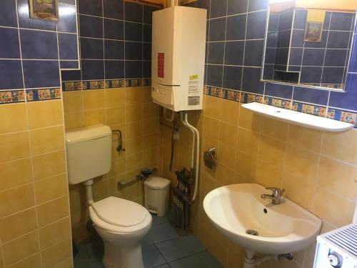 a small bathroom with a toilet and a sink at Apartman Sas 6 in Hajdúszoboszló