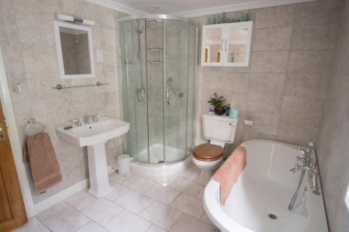 Llanwrtyd WellsにあるKilsby Houseのバスルーム(シャワー、トイレ、シンク付)