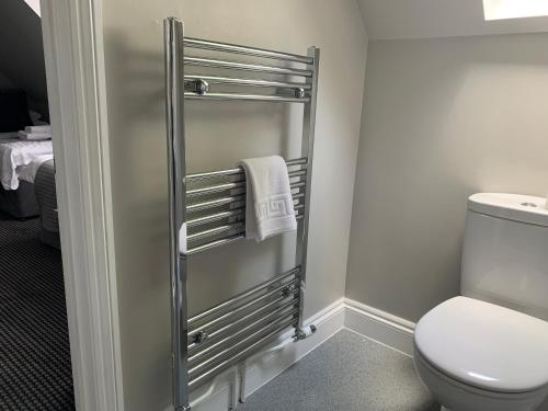 a bathroom with a toilet and a towel rack at Badgemore Park in Henley on Thames