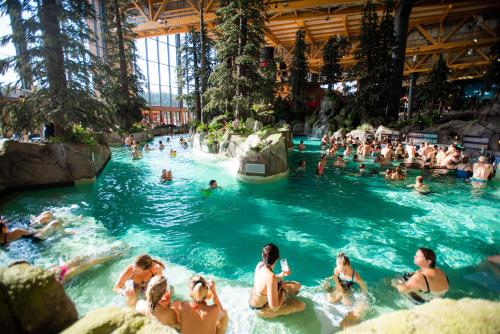 un groupe de personnes nageant dans une piscine dans l'établissement Ron's Apartment, à Colmar