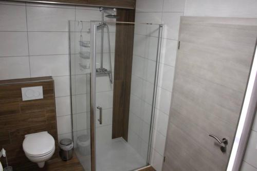 a bathroom with a shower and a toilet at Appartment am Trätzhof in Fulda