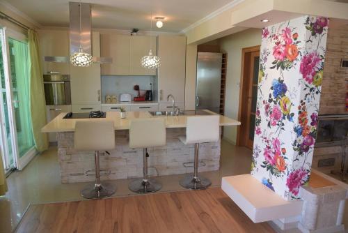 a kitchen with a large island with a counter at Vila Lily in Smederevo