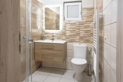 bagno con servizi igienici, lavandino e specchio di Relax Morava a Velké Bílovice