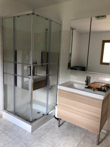 une douche en verre dans une salle de bain avec un lavabo dans l'établissement Le gite du Canal, à Noyers-sur-Cher