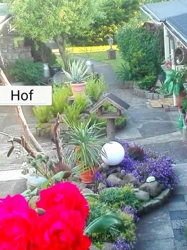 a garden with flowers and a bench in a yard at Ferienbungalow 1 in Dierkow
