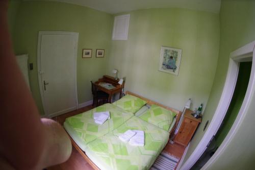 ロルヒ・アム・ラインにあるWohnen im Burghotelの小さなベッドルーム(緑のシーツが敷かれたベッド付)