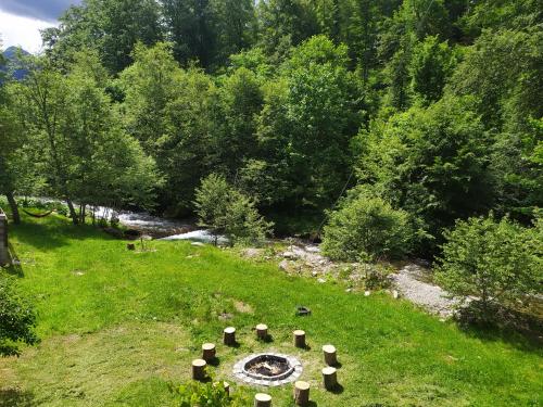 a garden with a stone circle in the grass at Complex Adela Transfăgărășan in Cîrţişoara