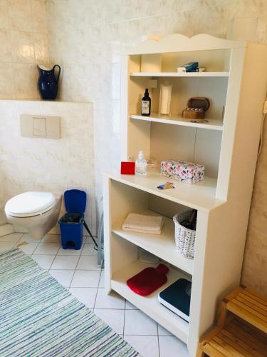 a bathroom with a toilet and a book shelf at Ferienwohnung „Am Gnaucks Hutberg“ in Hohnstein
