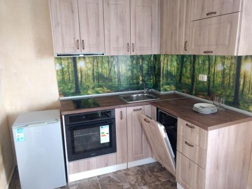 Morska Zvezda Guest House tesisinde mutfak veya mini mutfak