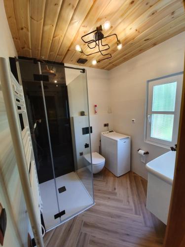 La salle de bains est pourvue d'une douche en verre et de toilettes. dans l'établissement Domek Klimkówka, à Klimkówka