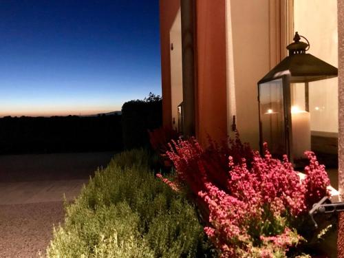 Un jardín fuera de Borgo Ronchetto