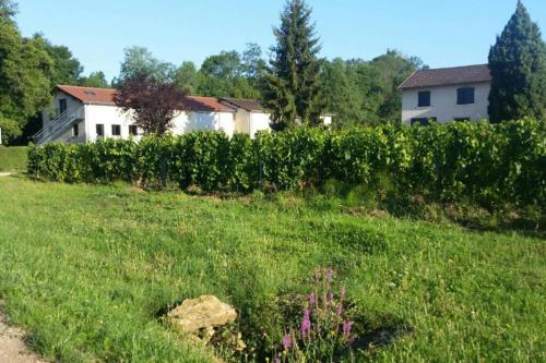 a field of green grass with a house in the background at Gîte Mamie Cocotte in Fuissé